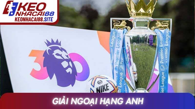 Giải Ngoại Hạng Anh: Toàn Cảnh Sức Hút Và Giá Trị Vượt Trội